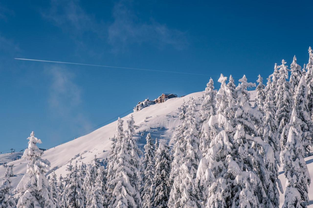 The Steinbock Lodge With Garden And Bbq Zell am See Exteriér fotografie